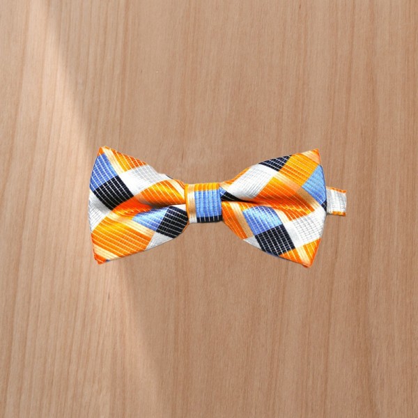 Silky, Colorful Men's Bow Tie