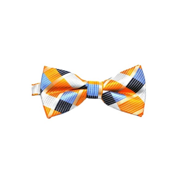 Silky, Colorful Men's Bow Tie