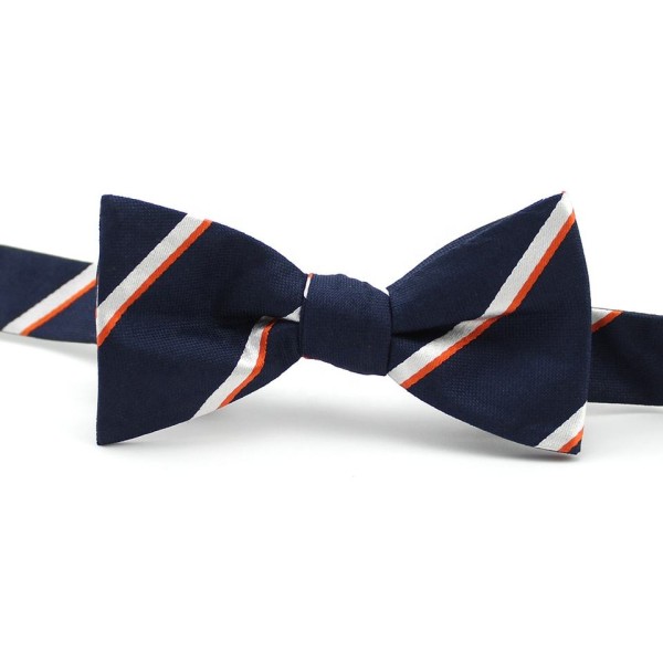 Silk Striped Bow Tie