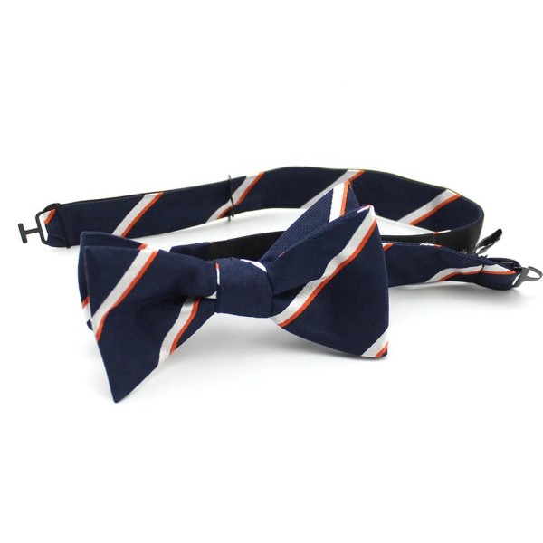 Silk Striped Bow Tie