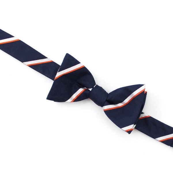Silk Striped Bow Tie
