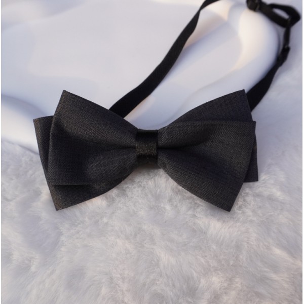 Luxurious Textured Patterned Bow Tie