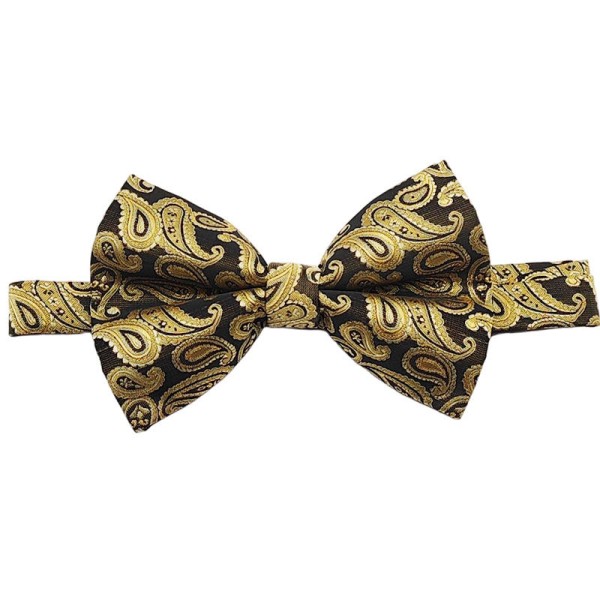 Stylish Paisley Pattern | Men's Self-Tie Bow Tie