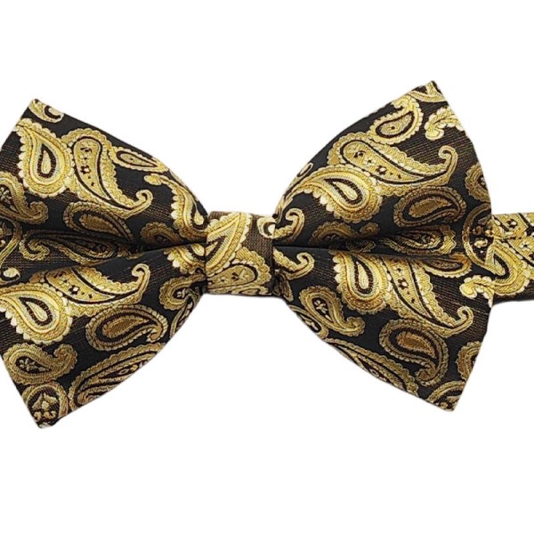 Stylish Paisley Pattern | Men's Self-Tie Bow Tie