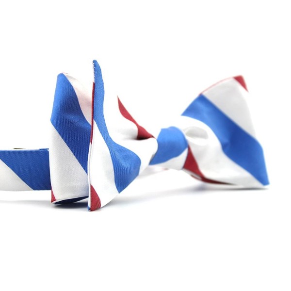 Adjustable Striped Polyester Bow Tie