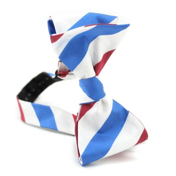 Adjustable Striped Polyester Bow Tie