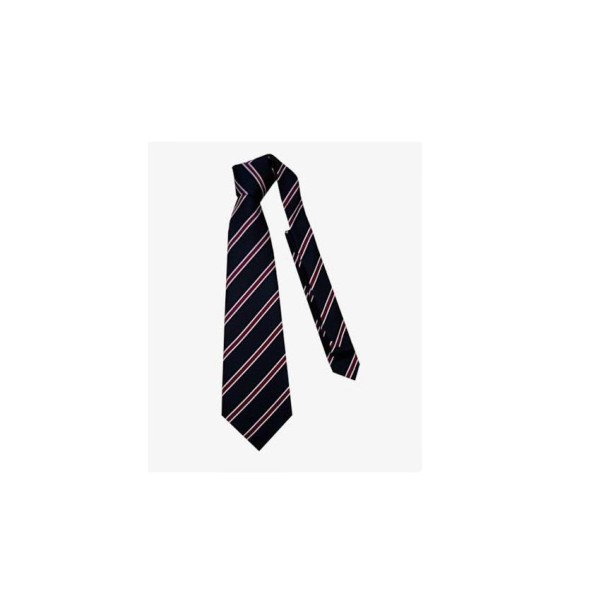 Handcrafted Formal Polyester Tie