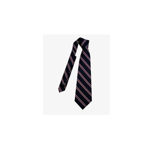 Handcrafted Formal Polyester Tie