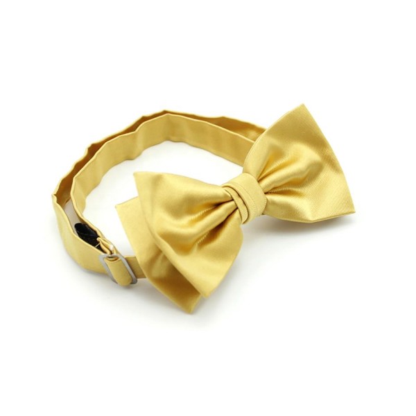 Adjustable Silk Pre-Tied Men's Bow Tie